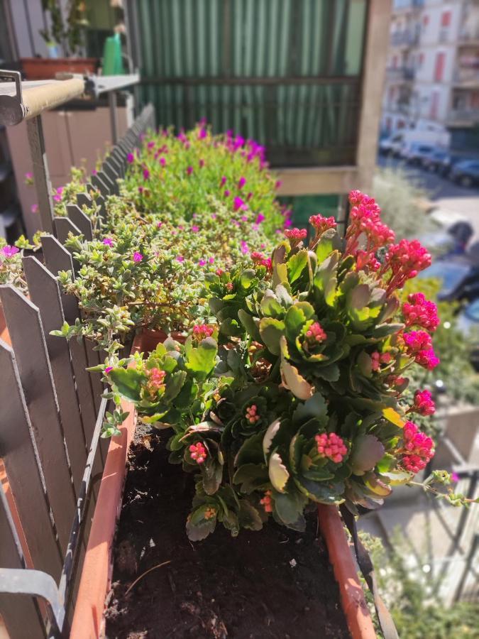 La Casa Dei Nonni Appartement Rome Buitenkant foto